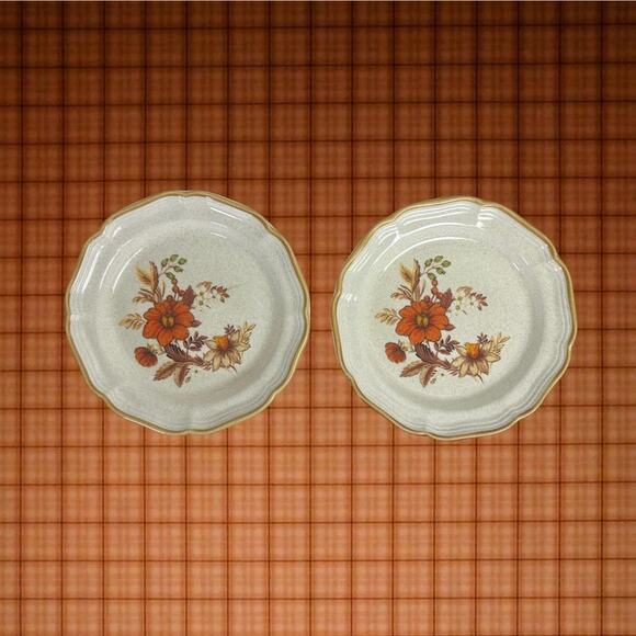 Mikasa VTG Garden Club Harvest Bouquet EC 455 Set 2 Stoneware Floral 8" Plates - Picture 1 of 8